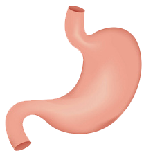 關(guān)注職場“腸”態(tài)，守護(hù)員工健康——上海格瑞特特邀消化內(nèi)科專家公益系列講座（4）(圖9)