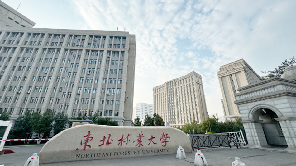 東林da.jpg 東林da.jpg